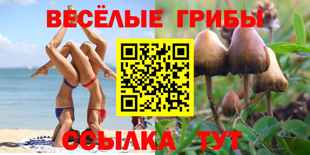 Галлюциногенные грибы ЛСД  Галлюциногенные грибы Psilocybe  где можно купить наркотик  Вход с VPN  Сунжа 